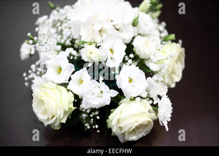 Farbe-Schuss von einigen Rosen hautnah. Stockfoto