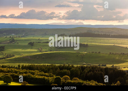 Der Ferne Cader Idris Berg "Cadair Idris' aus Stiperstones National Nature Reserve, Shropshire, England, Großbritannien Stockfoto