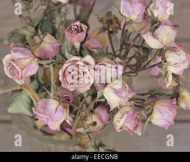 Bouquet von getrockneten Rosen Stockfoto