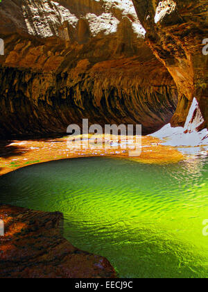 Wasser schnitzt ein Slotcanyon, bekannt als die linke Gabel der U-Bahn in Zion National Park in Springdale, Utah.   Die linke Gabel (The Subway) Zugang zu diesem Backcountry-Bereich erfordert eine Genehmigung und fortgeschrittene technische Kenntnisse. Stockfoto