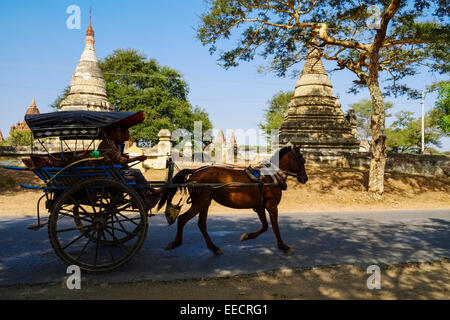 Pferdekutsche auf Straße in der Nähe von Nyaung U, Bagan, Myanmar Stockfoto