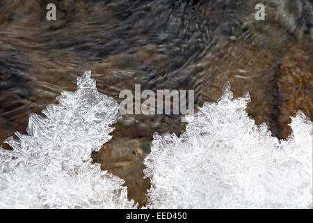 Europa, Slowakei, Vysok» Tatry, Natur, Hohe Tatra, Slowakei, Slowakische Republik, Vereist, Detail, Bach, Gewaesser, Gewässer, e Stockfoto