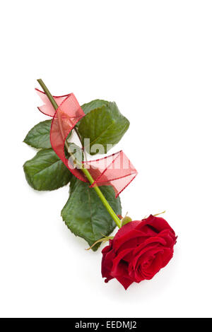 Closeup Aufnahme von rote Rose. Stockfoto