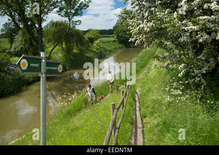 Großbritannien, England, Wiltshire, Vale of Pewsey, Wilcot, paar Kennett und Avon Kanal Leinpfad Hund spazieren Stockfoto