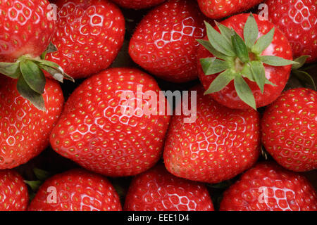Hintergrund aus erntefrischen Erdbeeren direkt über Stockfoto