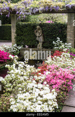 Keukenhof Gärten im Frühjahr.  Bunter Frühling Grenze von Azaleen Stockfoto