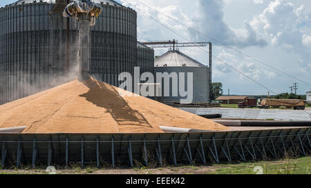 Clarksdale Mississippi, Mississippi-Delta, groß angelegte Landwirtschaft Stockfoto