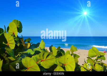 Traumstrand Stockfoto