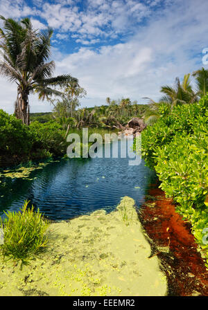 Seychellen Insel La Digue Stockfoto