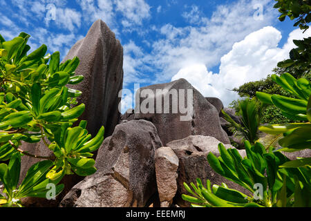 Felsen-Insel Seychellen, La Digue Stockfoto