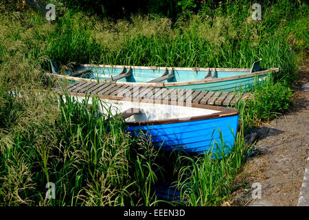 Zwei Ruder See Boote gefesselt Schilf auf einem Lough Derg In Tipperary Irland Stockfoto