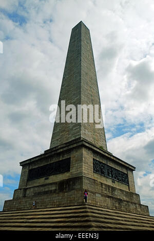 Das Wellington Monument in der Phoenix-Park Dublin Irland Stockfoto