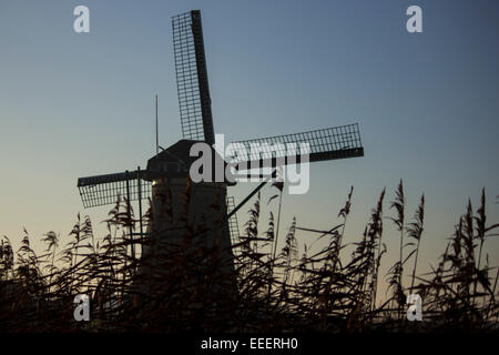 Windmühle am Kinderdijk Stockfoto