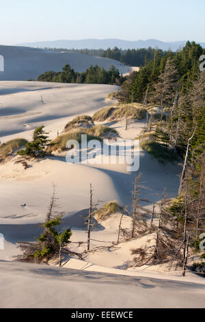 Sanddünen in Oregon Dunes National Recreation Area Stockfoto