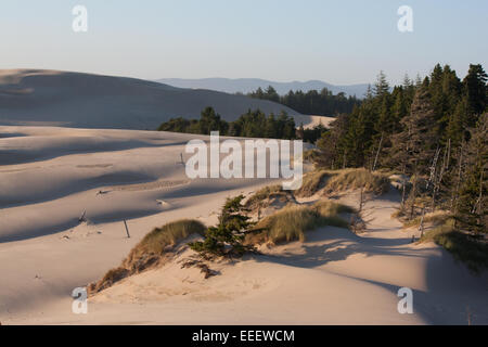 Sanddünen in Oregon Dunes National Recreation Area Stockfoto