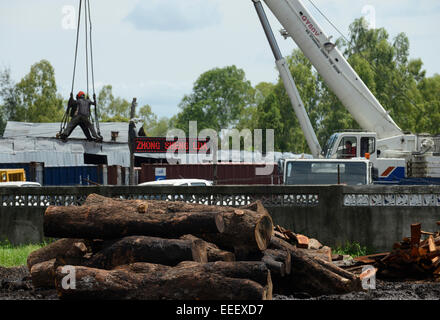 Beira, Mosambik Holzhandel des chinesischen Unternehmens Zhong Sheng LDA, Lagerplatz für Bäume aus der Provinz Tete protokolliert, nach dem Sägen Holz Bretter werden in Container verpackt und von Beira Hafen nach China verschifft / MOSAMBIK, Beira, Holzhandel der Chinesischen Firma Zhong Sheng LDA, Lagerplatz Fuer Baumstaemme aus der Provinz Tete, Zugesaegte Hoelzer Werden in Container Verpackt Und schlug den Hafen Beira Nach China Verschifft , Kahlschlag in Mosambik, Taeglich Kommen Hunderte Lastwagen Mit Holz in Beira eine Stockfoto