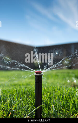 Sprinklerkopf genommen aus einem niedrigen Winkel Besprühen mit Wasser auf einen grünen Garten Rasen in Sacramento, Kalifornien. Stockfoto