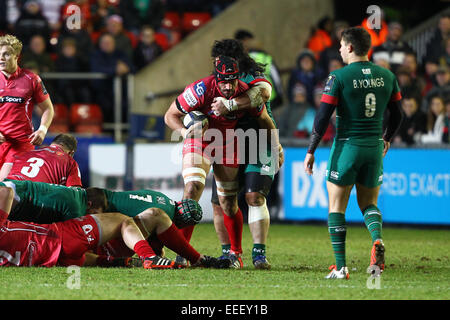 Leicester, UK. 16. Januar 2015. Europäische Rugby Champions Cup. Leicester Tigers gegen Scarlets. George Earle (Scarlets) arbeitet hart in dem losen. Bildnachweis: Aktion Plus Sport/Alamy Live-Nachrichten Stockfoto