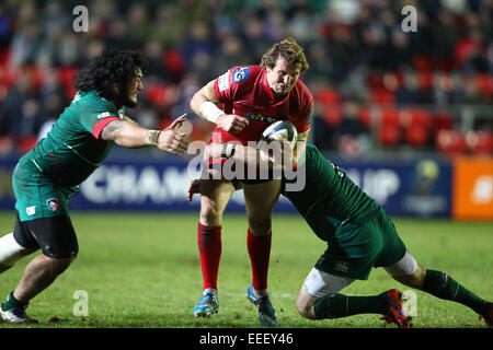 Leicester, UK. 16. Januar 2015. Europäische Rugby Champions Cup. Leicester Tigers gegen Scarlets. Hadleigh Parkes in Aktion für Scarlets Credit: Action Plus Sport/Alamy Live News Stockfoto