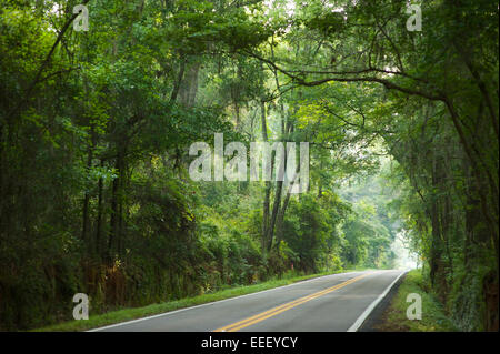 Landstraße, Tallahassee Stockfoto