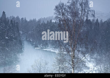 Eine schneebedeckte Tarn Hows im englischen Lake District, Cumbria Stockfoto