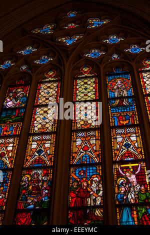 Glasfenster in der Kirche St. Servaas Basiliek oder Basilika am Platz genannt genannt Vrijthof, Maastricht, Niederlande Stockfoto