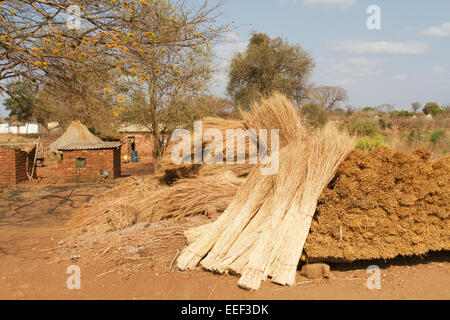 Haufen von Bündeln von thatching Rasen zu einem Strohdach im Chiawa Cultural Village auf dem Sambesi in Sambia, Afrika Stockfoto