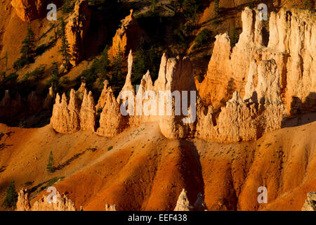 Malerische Aussicht von Hoodoos & andere Kalksteinformationen von Sunrise Point Bereich am Bryce-Canyon-Nationalpark, Utah, USA im Juli Stockfoto
