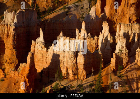 Malerische Aussicht von Hoodoos & andere Kalksteinformationen von Sunrise Point Bereich am Bryce-Canyon-Nationalpark, Utah, USA im Juli Stockfoto