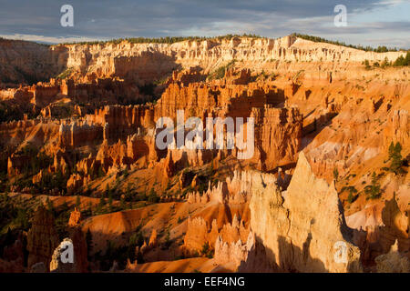 Malerische Aussicht von Hoodoos & andere Kalksteinformationen von Sunrise Point Bereich am Bryce-Canyon-Nationalpark, Utah, USA im Juli Stockfoto