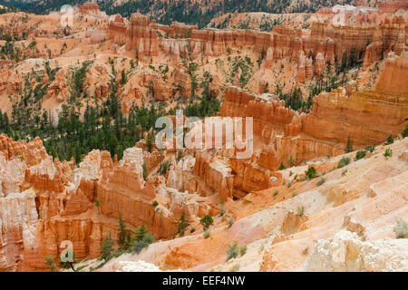 Ansicht der Hoodoos & andere Kalksteinformationen aus Inspiration Point Bereich am Bryce-Canyon-Nationalpark, Utah, USA im Juli Stockfoto