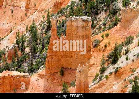 Ansicht der Hoodoos & andere Kalksteinformationen aus Inspiration Point Bereich am Bryce-Canyon-Nationalpark, Utah, USA im Juli Stockfoto