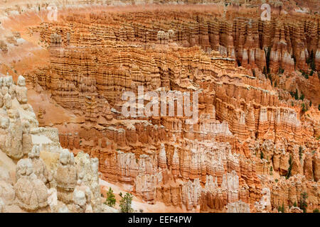 Ansicht der Hoodoos & andere Kalksteinformationen aus Inspiration Point Bereich am Bryce-Canyon-Nationalpark, Utah, USA im Juli Stockfoto