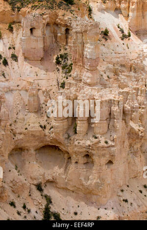 Malerische Aussicht von Hoodoos & andere Kalksteinformationen von Bryce Point Bereich am Bryce-Canyon-Nationalpark, Utah, USA im Juli Stockfoto