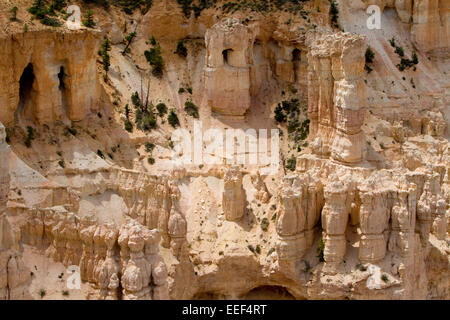 Malerische Aussicht von Hoodoos & andere Kalksteinformationen von Bryce Point Bereich am Bryce-Canyon-Nationalpark, Utah, USA im Juli Stockfoto