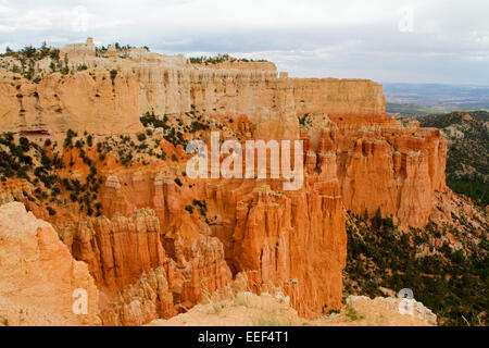 Malerische Aussicht von Hoodoos & andere Kalksteinformationen Bereich Paria View im Bryce-Canyon-Nationalpark, Utah, USA im Juli Stockfoto