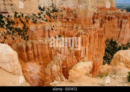 Malerische Aussicht von Hoodoos & andere Kalksteinformationen Bereich Paria View im Bryce-Canyon-Nationalpark, Utah, USA im Juli Stockfoto