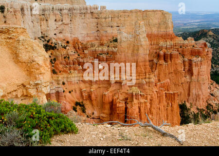 Malerische Aussicht von Hoodoos & andere Kalksteinformationen Bereich Paria View im Bryce-Canyon-Nationalpark, Utah, USA im Juli Stockfoto