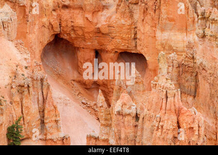 Ansicht der Hoodoos & andere Kalksteinformationen von Rainbow Point Bereich am Bryce-Canyon-Nationalpark, Utah, USA im Juli Stockfoto