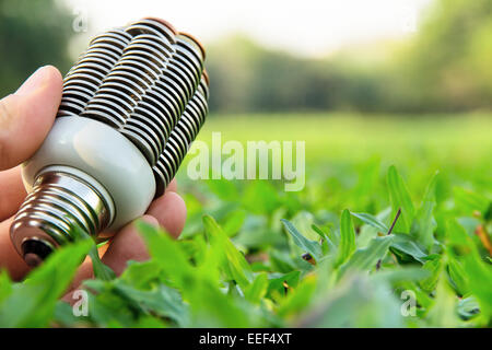 Hand mit Glühbirne Münze Stockfoto