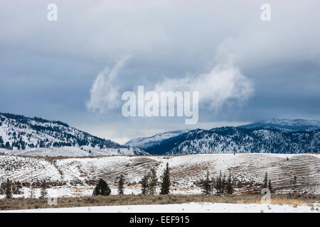 YELLOWSTONE, USA niedrigen Wolken über sanfte Hügel und Bäume. Stockfoto