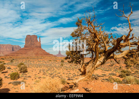 West Mitten Butte, Monument Valley Navajo Tribal Park, Arizona, USA Stockfoto