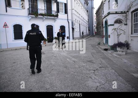 Gibraltar. 17. Januar 2015. Bewaffnete Patrouillen und Polizeihund Einheiten wurden eingesetzt, um Gibraltar Stadtzentrum in eine beispiellose Zunahme in Gibraltar zu patrouillieren. Im Bild der Polizeihund Abschnitt und Armed Response Unit patrouillieren neben einer jüdischen Schule. Bildnachweis: Stephen Ignacio/Alamy Live-Nachrichten Stockfoto