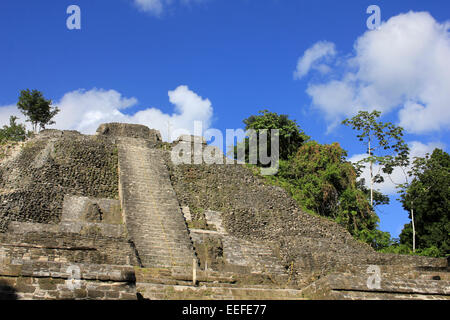 Maya-Tempel in der archäologischen Stätte von Lamanai, Belize Stockfoto