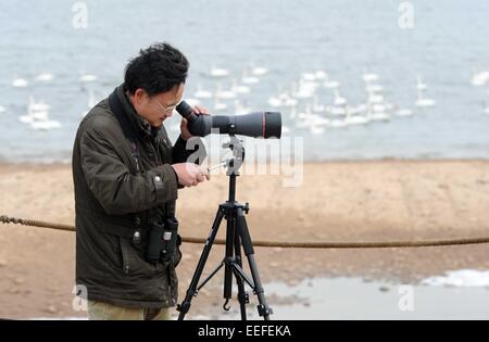 Zhengzhou, China. 17. Januar 2015. Ein wilder Tier Beschützer beobachtet Vögel im Bereich Sanmenxia Reservoir des gelben Flusses, Zentral-China Henan Provinz, 17. Januar 2015. Insgesamt 93 Wildvögel unter anderem Schwäne und Wildenten starben im Bereich ab Jan. 14. Laut dem nationalen Referenzlabor Vogel Grippe hat das H5N1-Virus, eine hochansteckende Belastung der Vogelgrippe, Todesfälle verursacht im Bereich Sanmenxia-Reservoir ist ein Winterquartier für Schwäne, die Migration von Sibirien in Russland. Bildnachweis: Xinhua/Alamy Live-Nachrichten Stockfoto