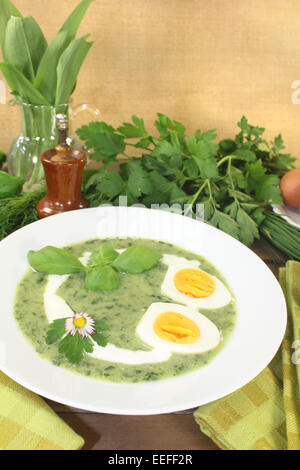 frische grüne Kräuter Suppe mit Eiern und einem Klecks Sahne Stockfoto