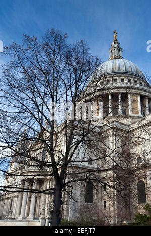 London, England, Januar 2015 ein Hochformat der St Pauls Cathedral im Winter. Stockfoto