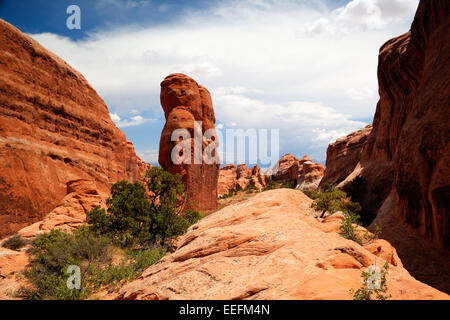 Szenen aus berühmten Arches-Nationalpark, Moab, Utah, USA Stockfoto