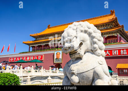 BEIJING, CHINA - 27. Juni 2014: Eine Löwenstatue schützt die Tiananmen-Tor am Platz des himmlischen Friedens. Stockfoto