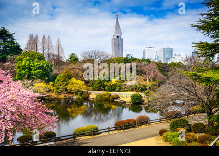 Shinjuku Gyoen, Tokyo, Japan im Frühjahr. Stockfoto